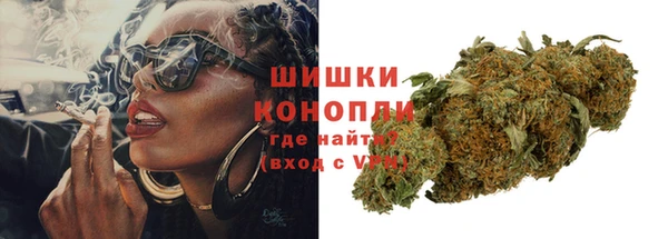 spice Богданович