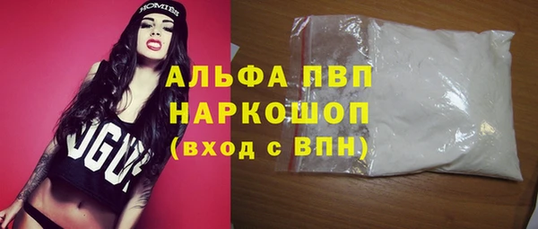 гидра Богородицк