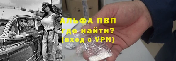 spice Богданович