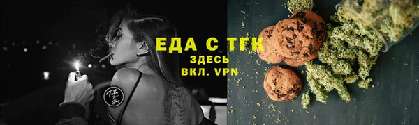 гидра Богородицк