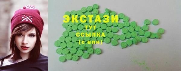 гидра Богородицк