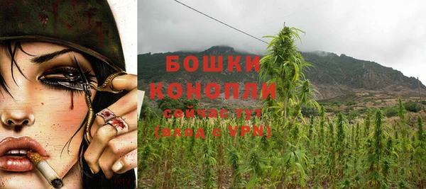 гидра Богородицк