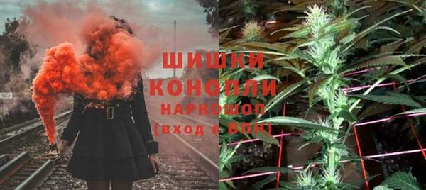 гидра Богородицк