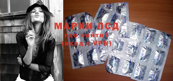 spice Богданович
