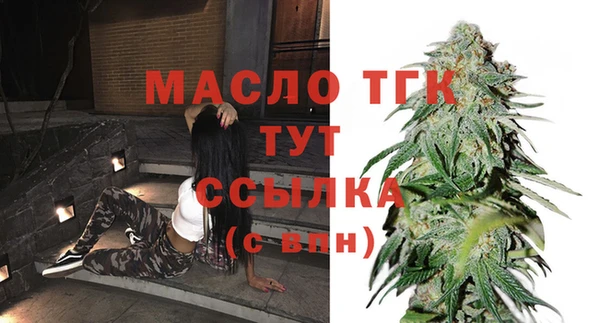 гидра Богородицк