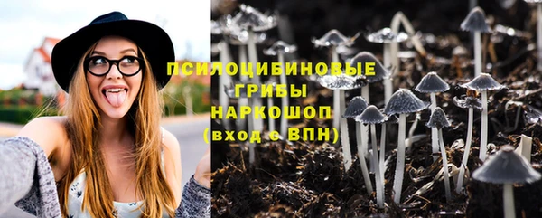 spice Богданович