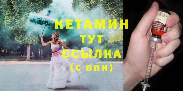 гидра Богородицк