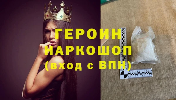 гидра Богородицк