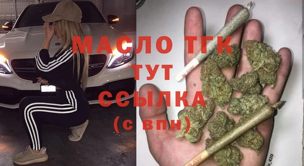 гидра Богородицк